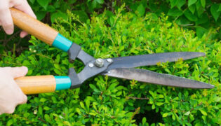 497558103 122110143968855622 4643592399064949934 n