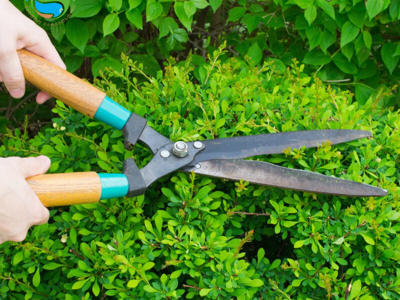 497558103 122110143968855622 4643592399064949934 n