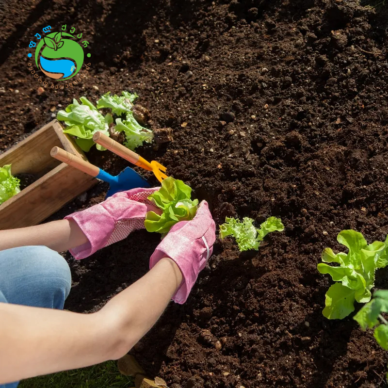 495640617 122107964912855622 4223606966437583474 n