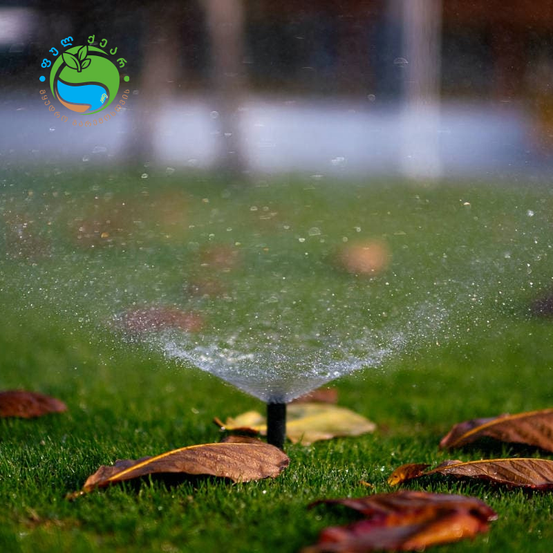 496484086 122107964888855622 8373688869140280476 n