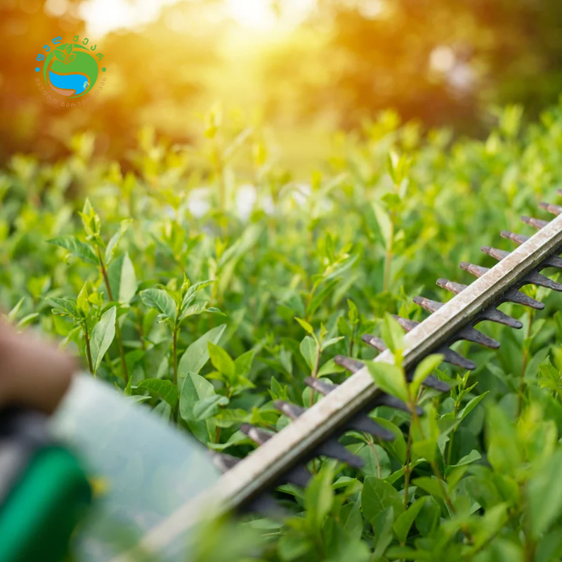 497620047 122110143806855622 577874874939900610 n