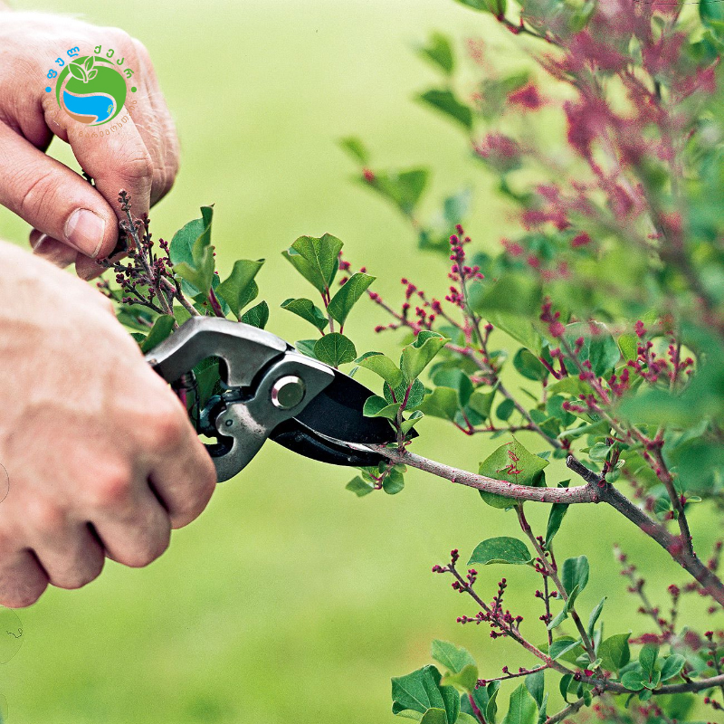 497792180 122110143920855622 1644906837310425581 n