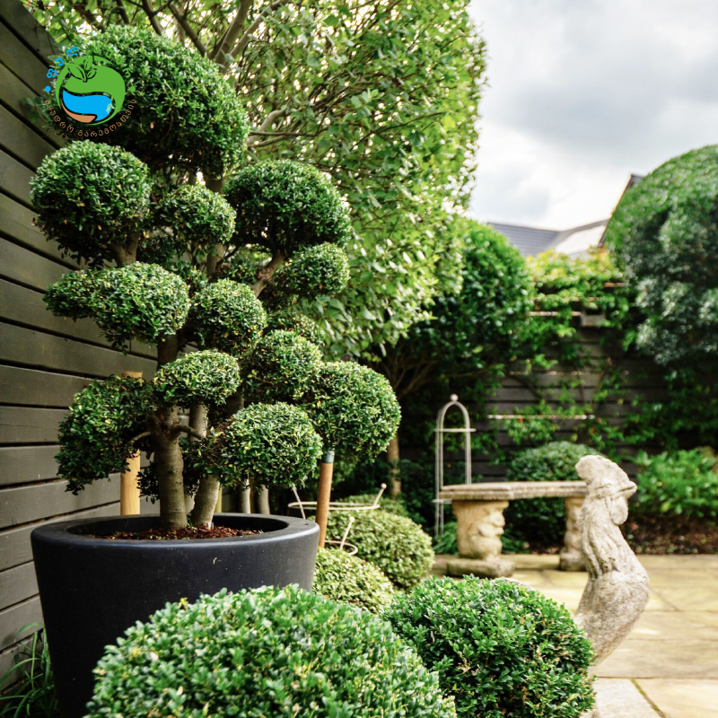 497926756 122110143980855622 2720284628467832775 n