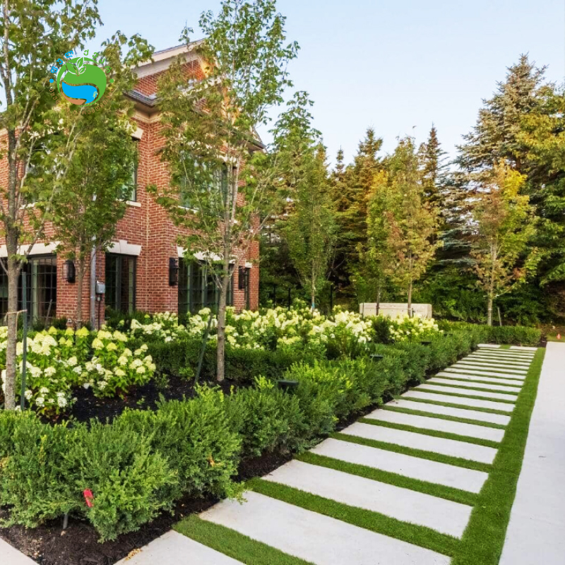 499775994 122113606604855622 1172115658022183744 n