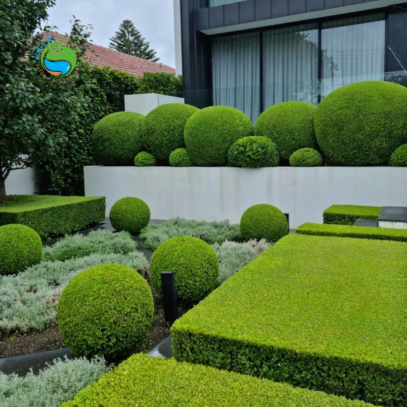 500240057 122113606556855622 4906085954255808737 n