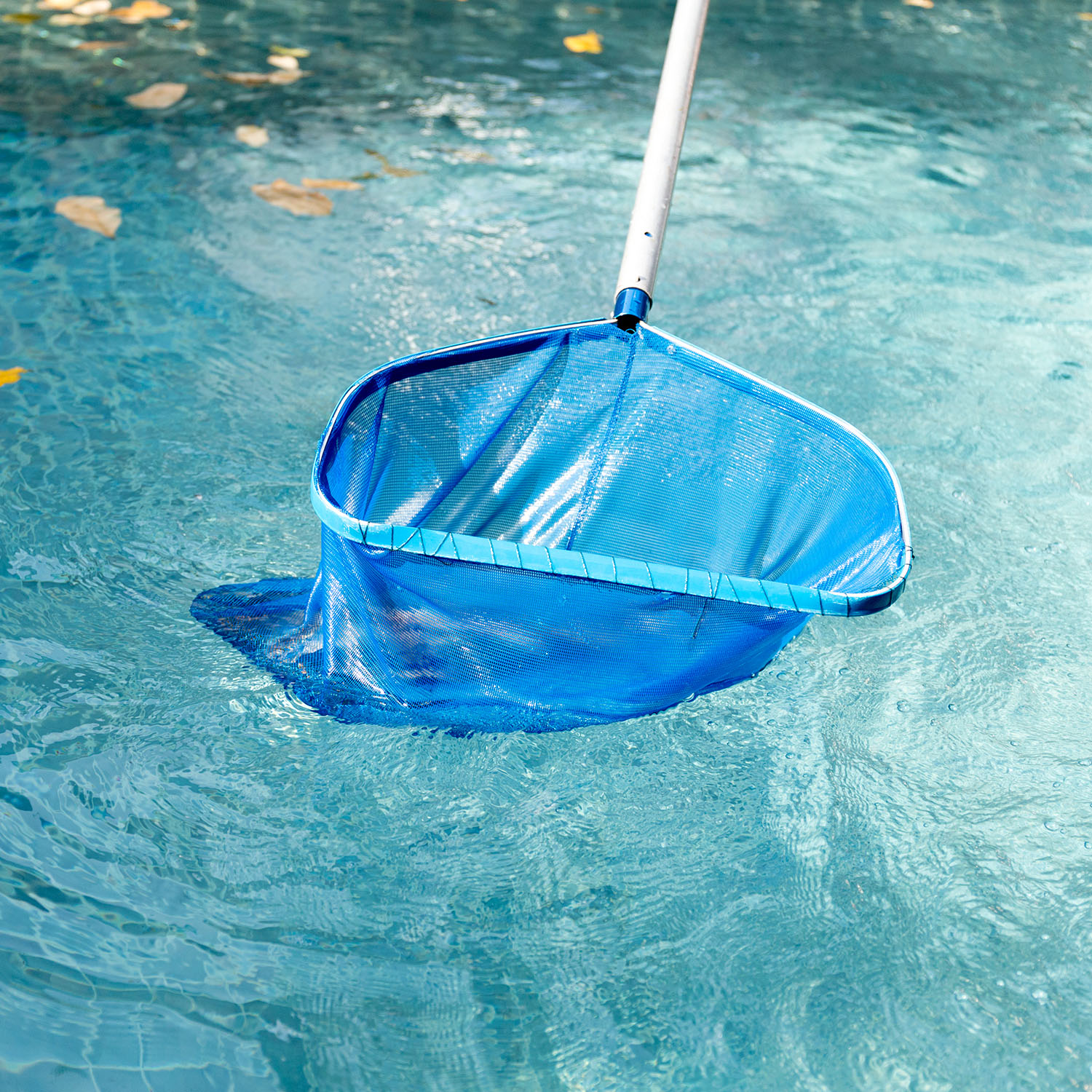 cleaning swimming pool of fallen leaves with blue 2026 01 11 09 23 12 utc