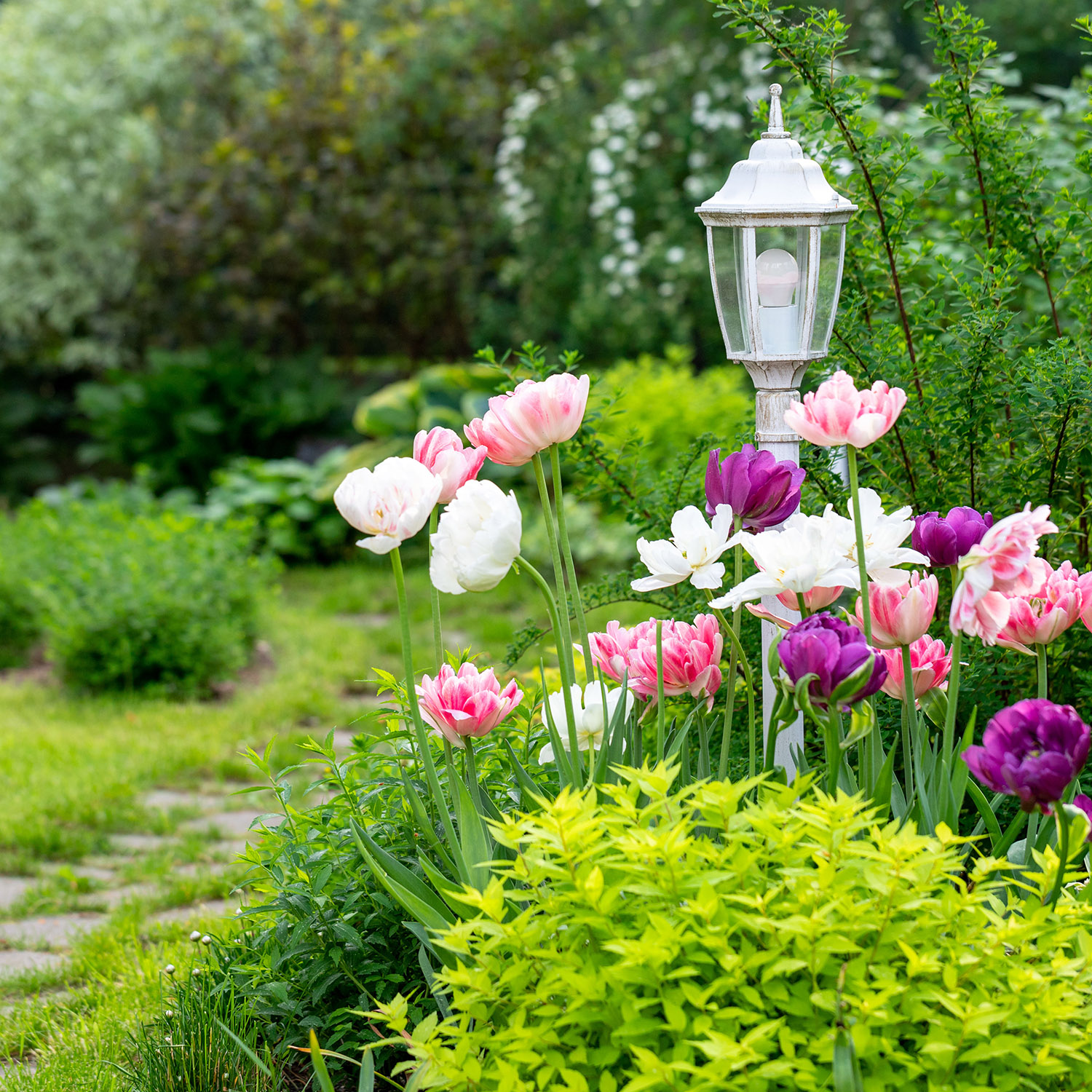 vintage decorative garden lamp surrounded by bloom 2026 01 08 07 48 30 utc